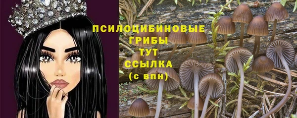 шишки Кукмор