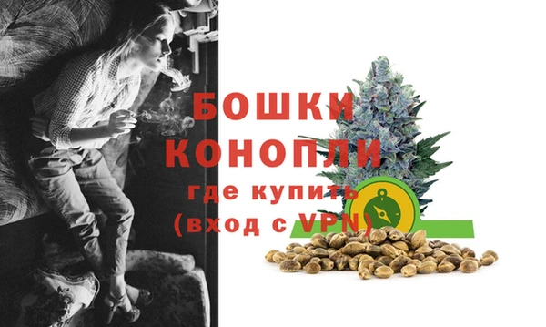 шишки Кукмор